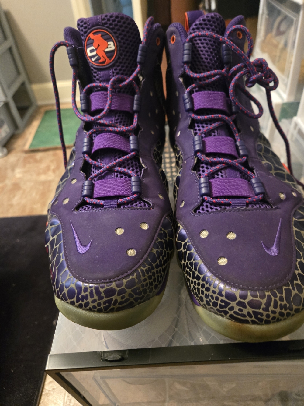 Nike Air Charles Barkley Sz 10.5